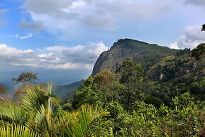 Tea Garden Holiday Inn