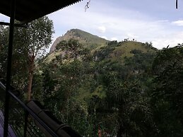 Tea Garden Holiday Inn