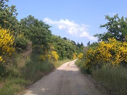 Bed and Breakfast Country Hill