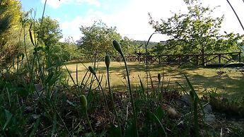 Bed and Breakfast Country Hill