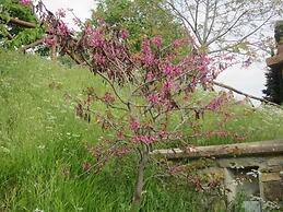 Bed and Breakfast Country Hill