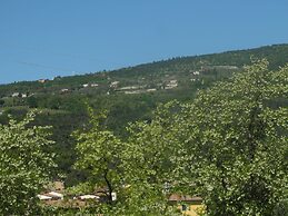 B&B Mimosa e Lillà