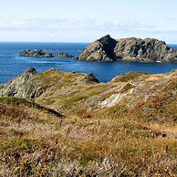 Whale House Guest House