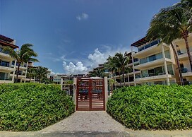 Elements 206 by Tripintravel