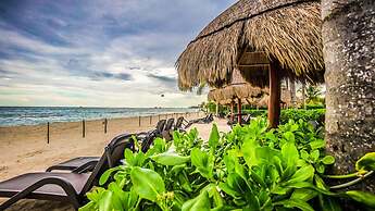 Elements 206 by Tripintravel