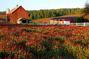 Staybridge Suites Hillsboro North by IHG