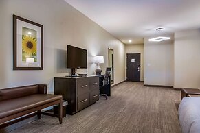 Comfort Suites Wooster near University Campus