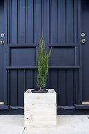 Fox on the Run - Motel Kilmore