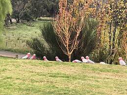 The Studio Yarra Valley