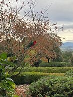 The Studio Yarra Valley