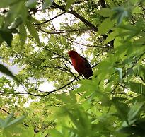 The Studio Yarra Valley