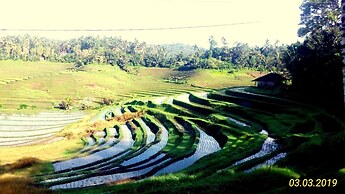 Dhyanapura City Hotel