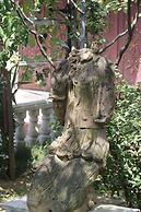 Guest House Caucasus