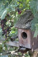 Guest House Caucasus