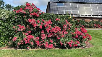 Apartment Garten near Airport