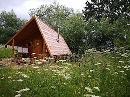 Acorn Glade