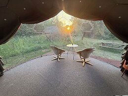 Acorn Glade