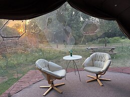 Acorn Glade