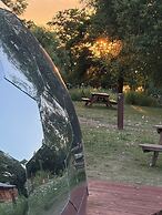 Acorn Glade