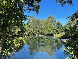 Acorn Glade