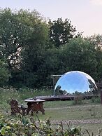 Acorn Glade