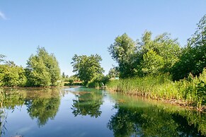 Acorn Glade