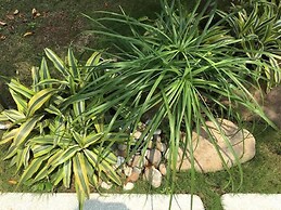 Khach San Tuong Vi - Van Cao