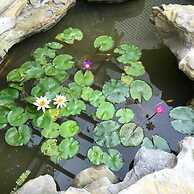 Khach San Tuong Vi - Van Cao