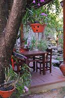 Khach San Tuong Vi - Van Cao