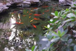 Khach San Tuong Vi - Van Cao