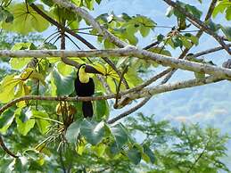 Uvita Bali Bosque Retreat