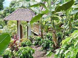 Uvita Bali Bosque Retreat