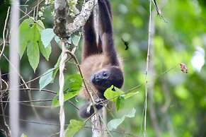 Uvita Bali Bosque Retreat