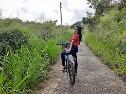 Kandy Victoria Eco Resort