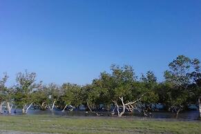 Eagle Camp Mida Creek