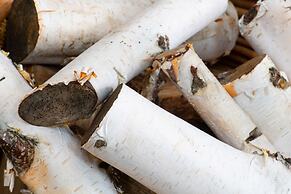 The Five Turrets: Stay in Scotland in Style in a Historic Four-bed Hol