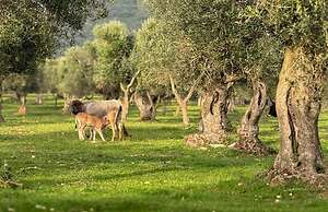 Masseria Pilano