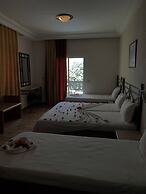 Sol Palmeras Beach - Family Hotel