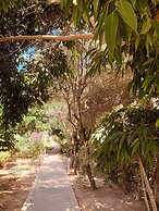 Sol Palmeras Beach - Family Hotel