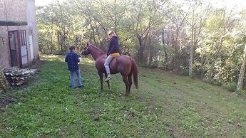 Casa Cairo Affittacamere