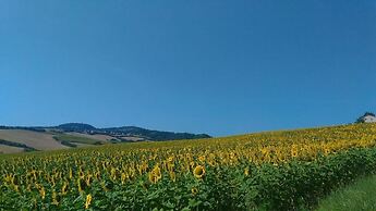 Casa Cairo Affittacamere
