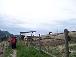 Casa Cairo Affittacamere