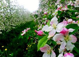 Casa Vacanze Piè di Castello