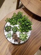 Green Apartments- Ericius Group