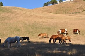 Masseria Straziuso - La Vaccariccia