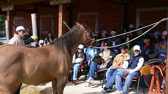 Masseria Straziuso - La Vaccariccia