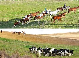 Masseria Straziuso - La Vaccariccia