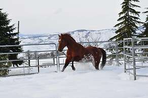 Masseria Straziuso - La Vaccariccia
