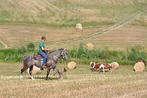 Masseria Straziuso - La Vaccariccia