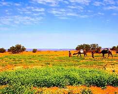 Locals Under Stars Trips